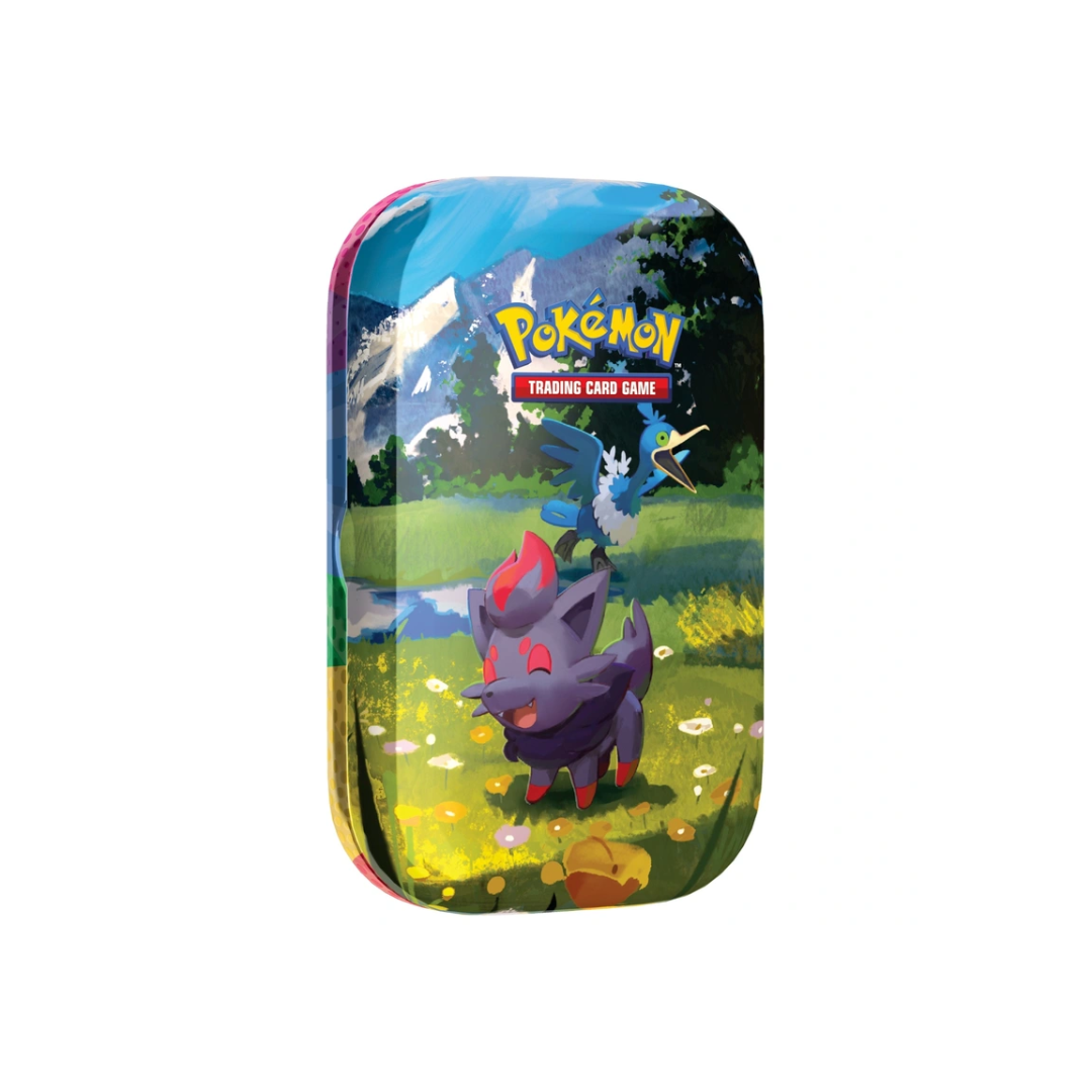 Pokémon TCG: Mega Evolution Ascended Heroes - Mini Tin: Zorua and Cramorant